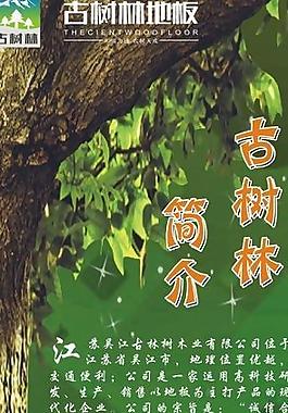 古树林简介 橡木地板 海报设计 绿色背景图片