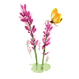 花朵素材