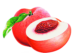 桃子素材
