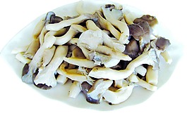 香菇