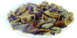 香菇图片素材下载