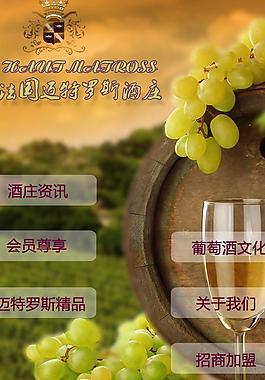 微信葡萄酒网站图片