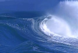 大海