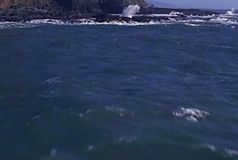 大海模板下载