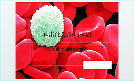 血小板医疗行业PPT模板