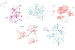 木兰花与百合花