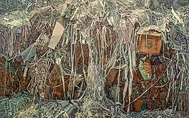 连建兴油画作品图片