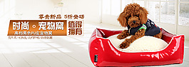 宠物用品