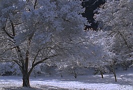 冰雪