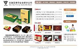 公司网站方案图片