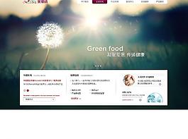集团网站图片