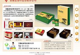 公司网站方案图片
