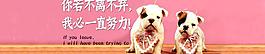 狗狗 不离不弃图片