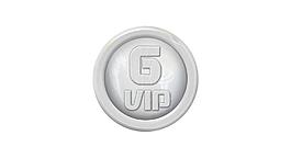 vip 等级图标图片
