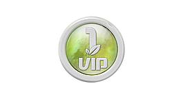 vip 等级图标图片