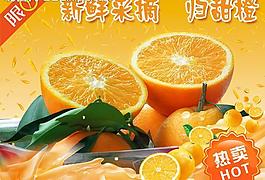 新鲜采摘秭归甜橙图片