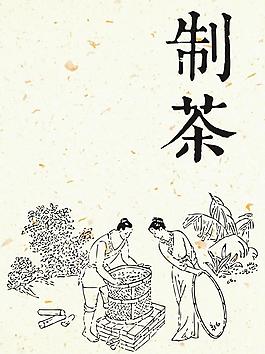 制茶工艺图片