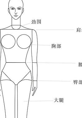 人体绘图基础图片