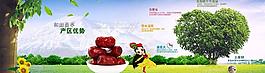 和田贡枣banner图片