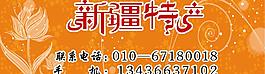 新疆特产图片
