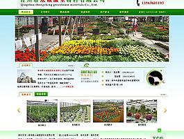 众诚温室材料图片