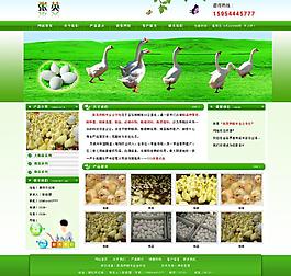 张英图片