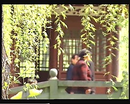 大自然中一些花草