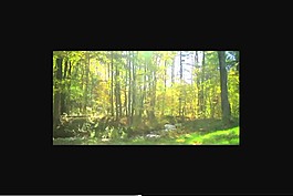 植物视频素材模板下载