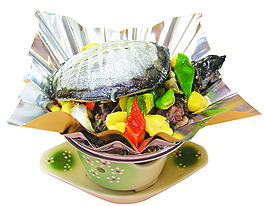 生爆甲鱼