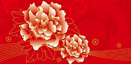 牡丹花