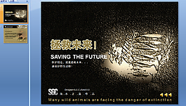 保护野生动物PPT模板