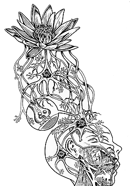 人头创意插画设计图片