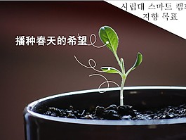 新年度工作计划PPT模板