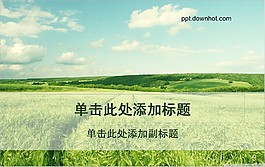 有机水稻种植技术要点PPT模板