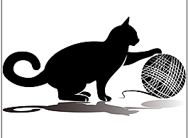 玩毛线的猫