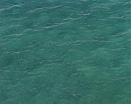 海水