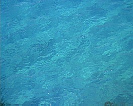 高清海水