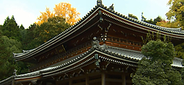 亭台一角建筑摄影视频