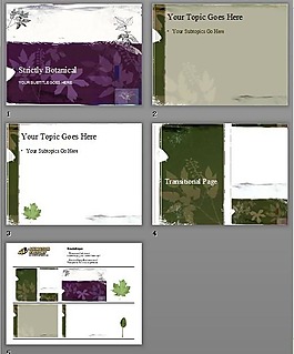 枫叶叶子PPT模板