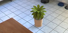 血管COM一植物