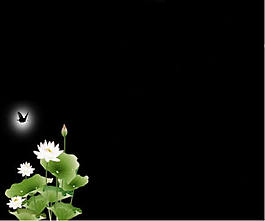 荷花美丽背景ppt模板