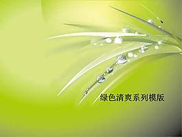 清新小草水珠背景ppt模板