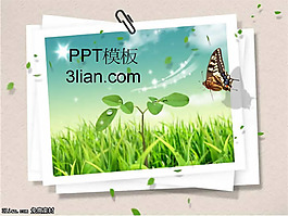 韩国精美相框PPT模板