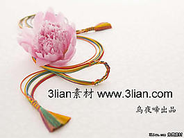 梅花唯美中国风PPT模板