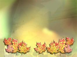 淡雅秋天枫叶PPT模板