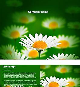 唯美绿色白菊花ppt模板