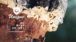宣传品牌策略ppt模板
