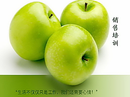 销售培训PPT模板