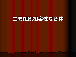 项目组织PPT模板