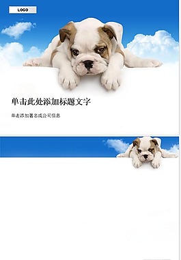 可爱小狗宠物背景精美ppt图片素材